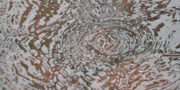 Vancouver in My Eyes V – Rain