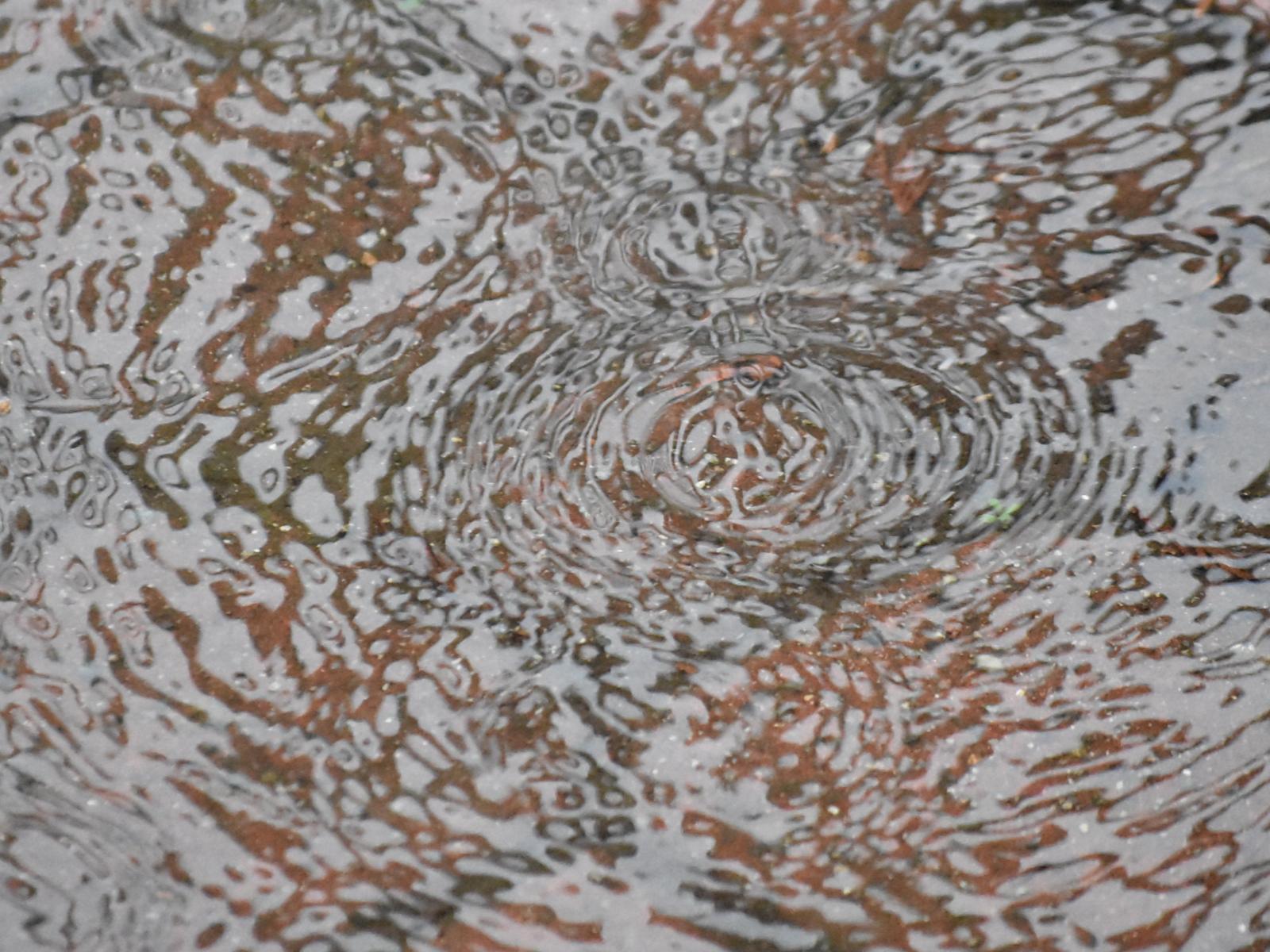 Vancouver in My Eyes V – Rain